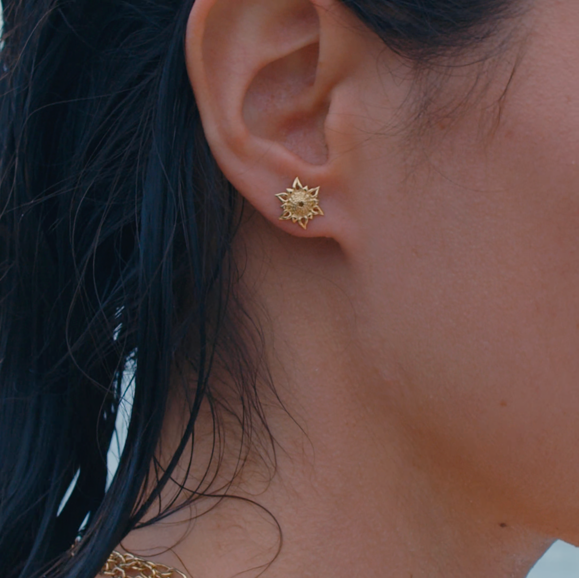 Apollo Echinus Hybrid Studs