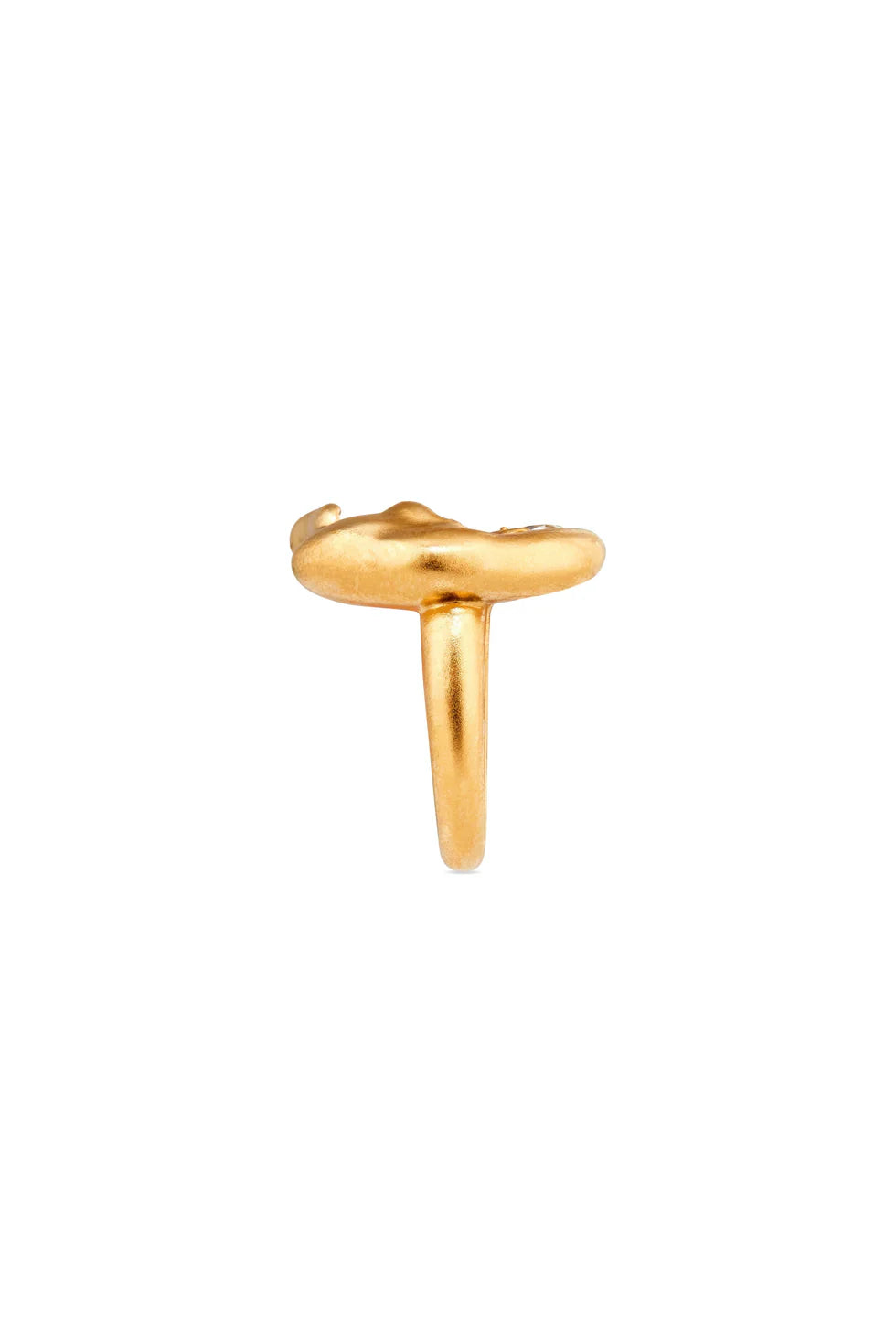 Elephant Ring