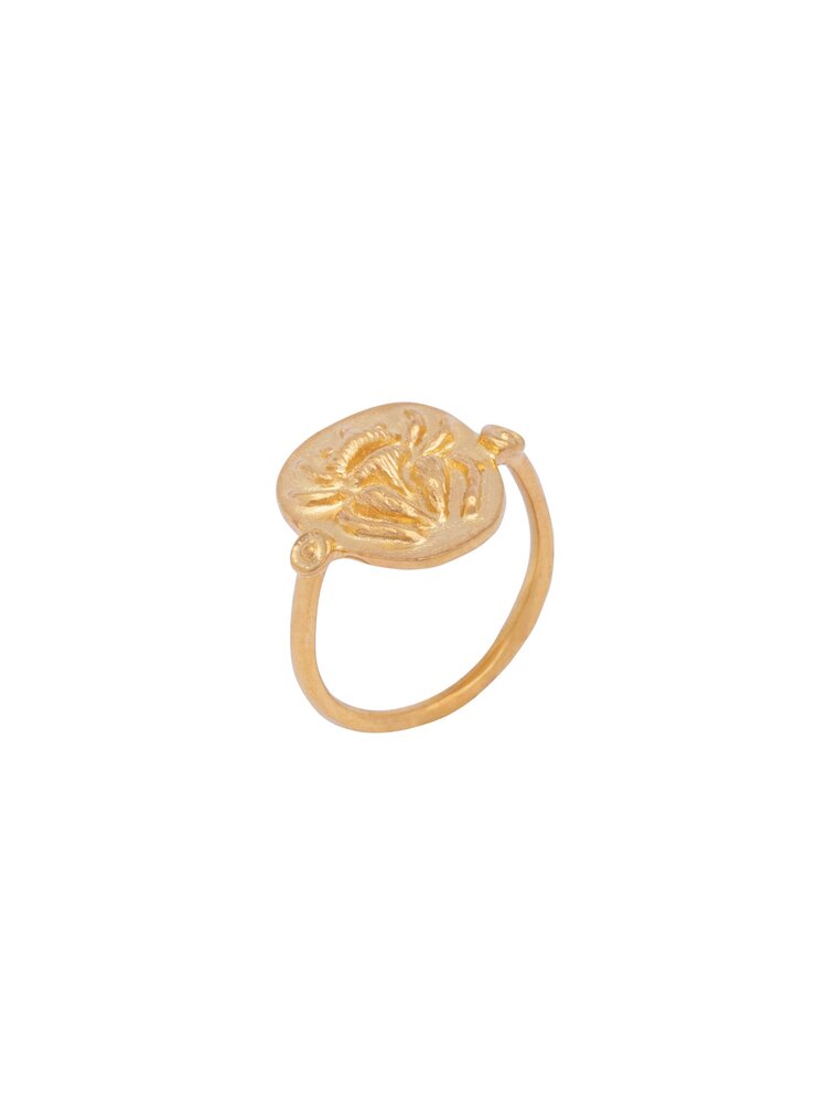Scarab Ring