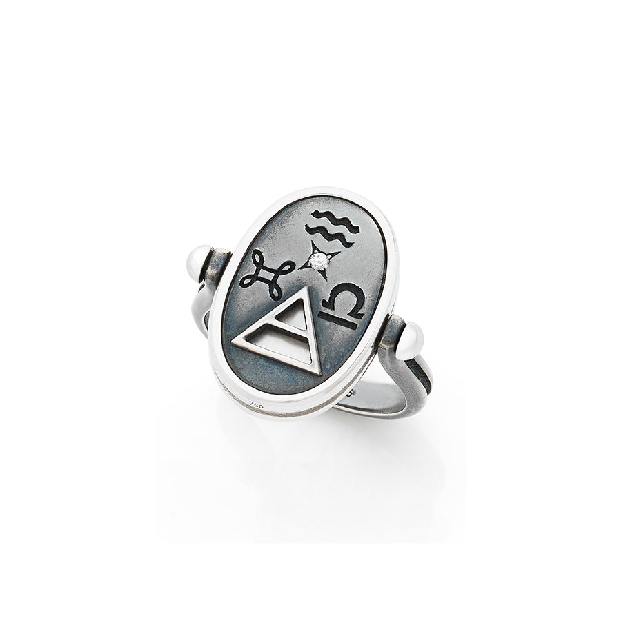 Air 4 Elements Ring Elie Top