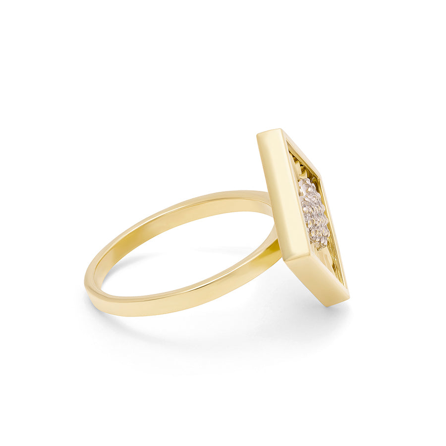 Love Wins Ring