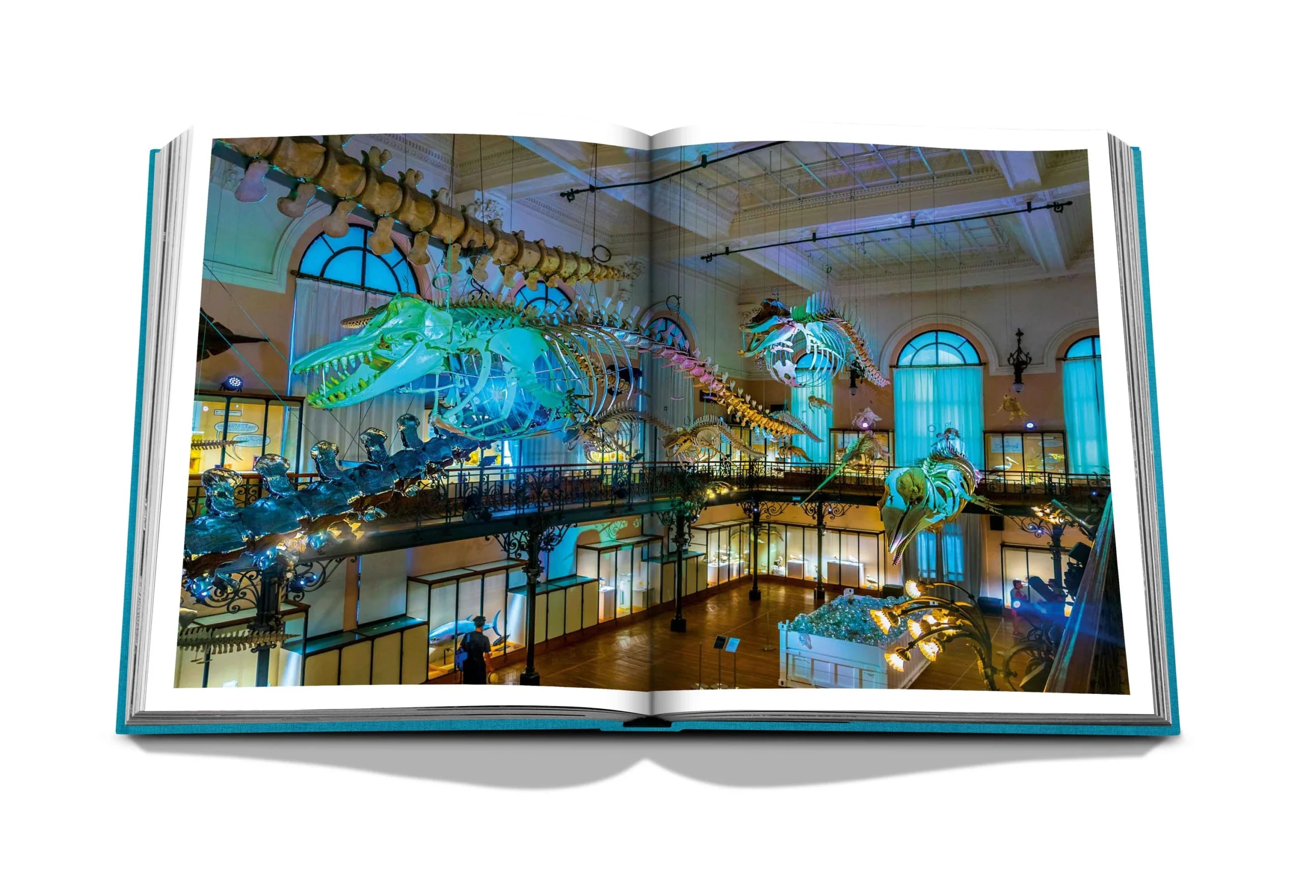Monte Carlo Assouline