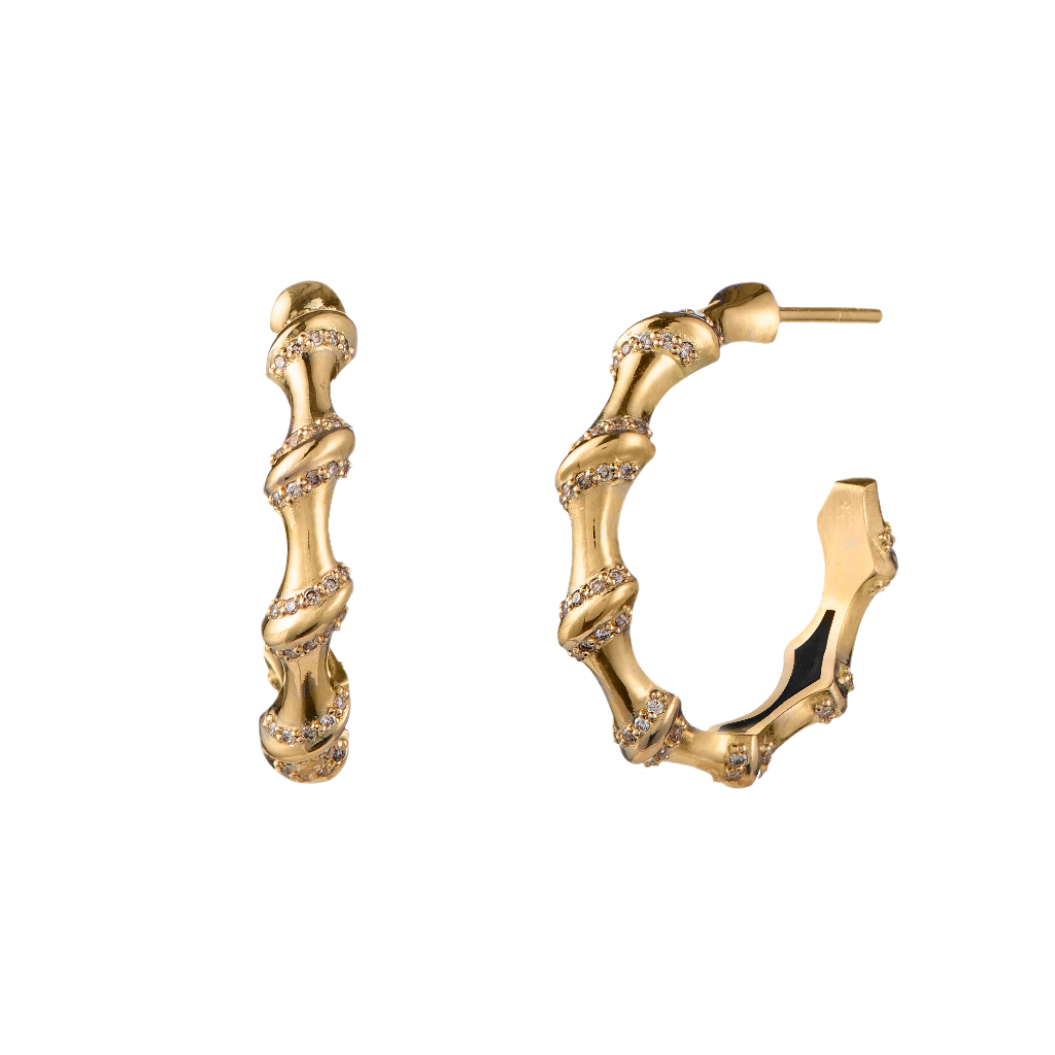 Bamboo II Earrings