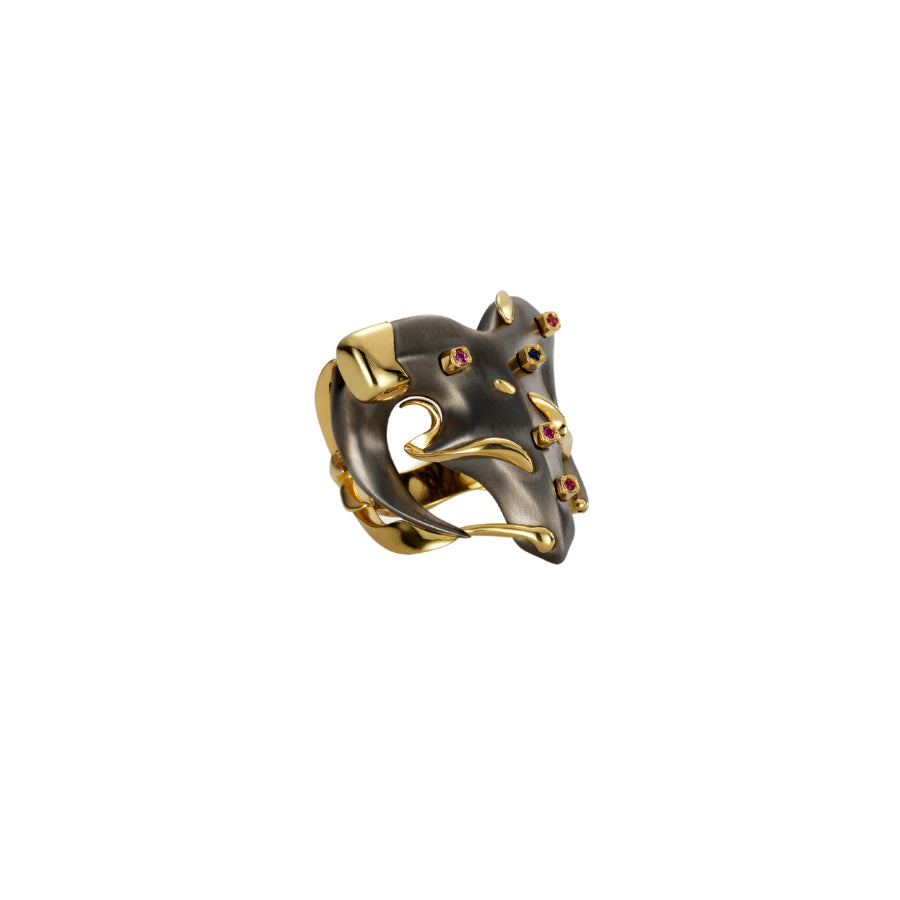 The Ayla Ring