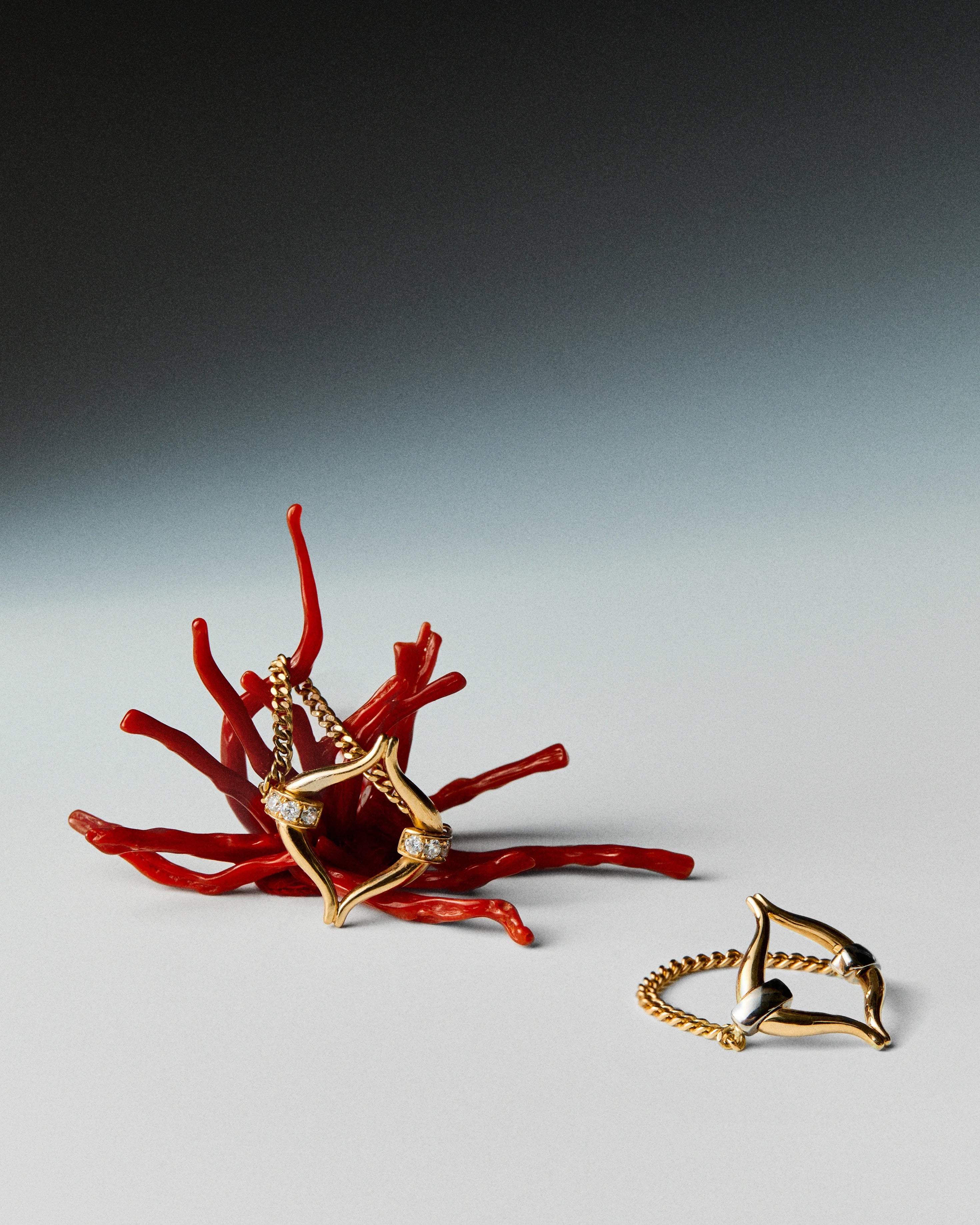 Eboris Bicolore Linked Ring
