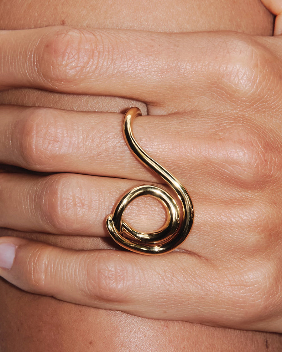 double-lasso-ring-editorial