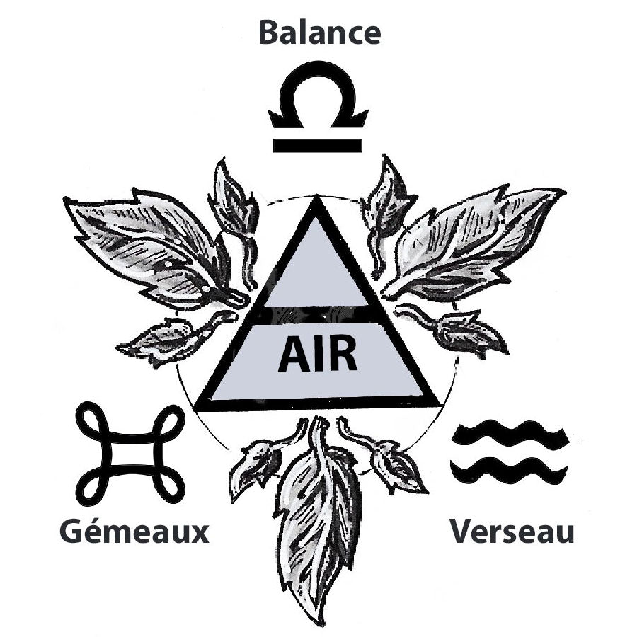 signe-air-correspondances-astrologiques_946c963e-5713-42f6-b741-97f9d626bb0e_1800x1800.jpg