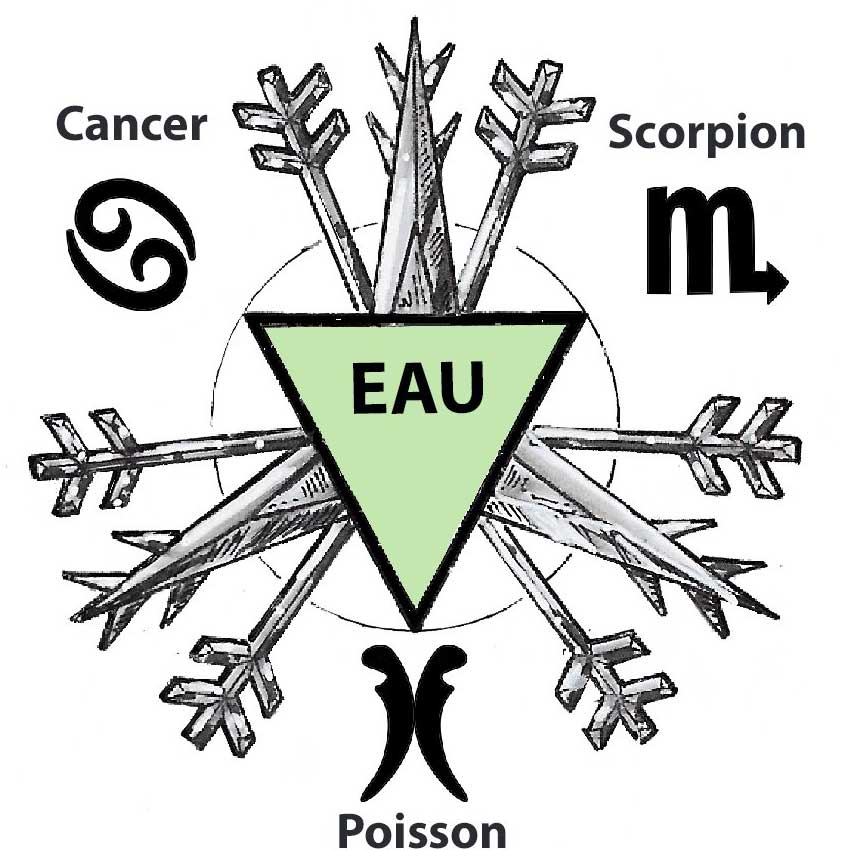 signe-eau-correspondances-astrologiques_9ee127ed-7344-49d5-b130-7895c21763fc_1800x1800.jpg