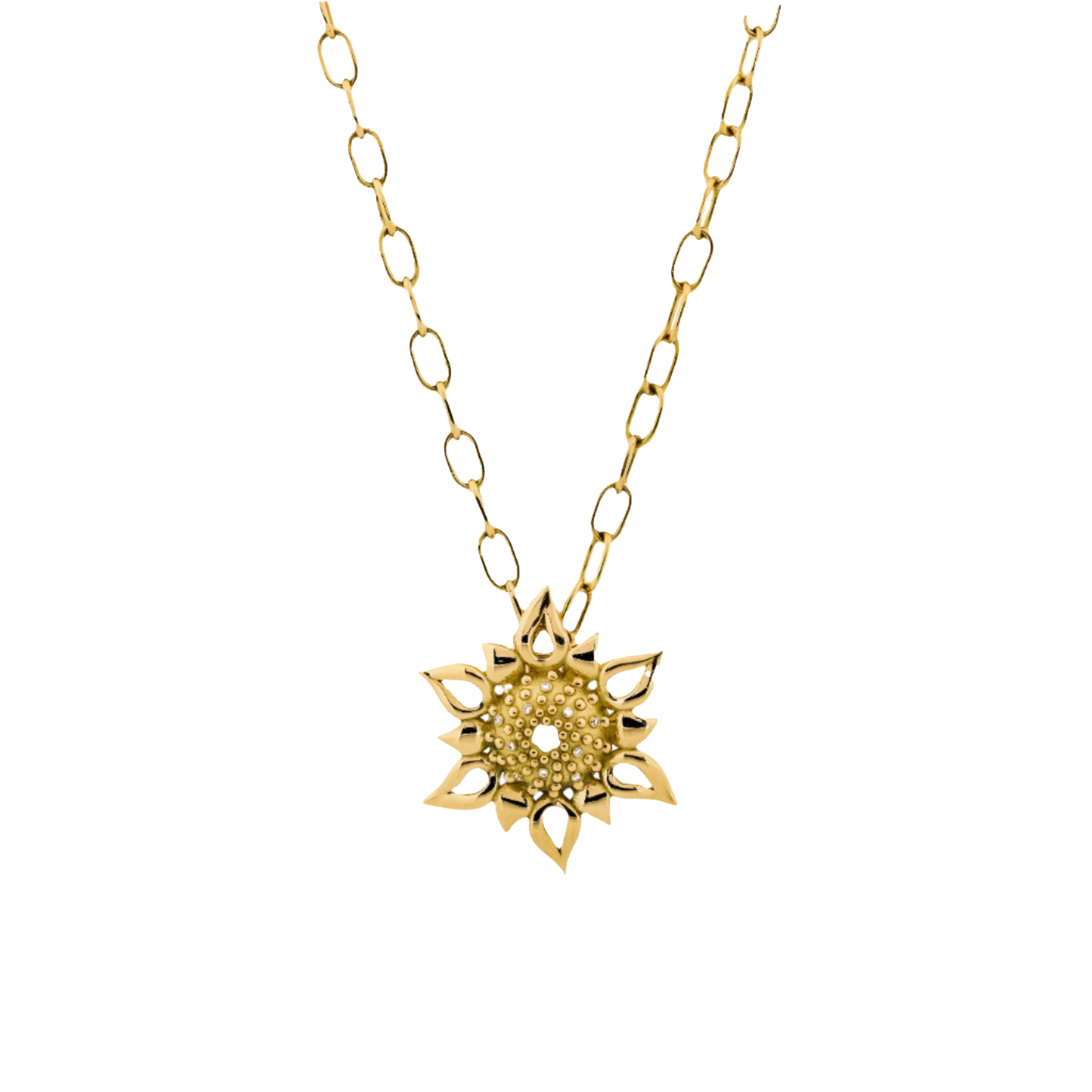 Apollo Echinus Hybrid Charm