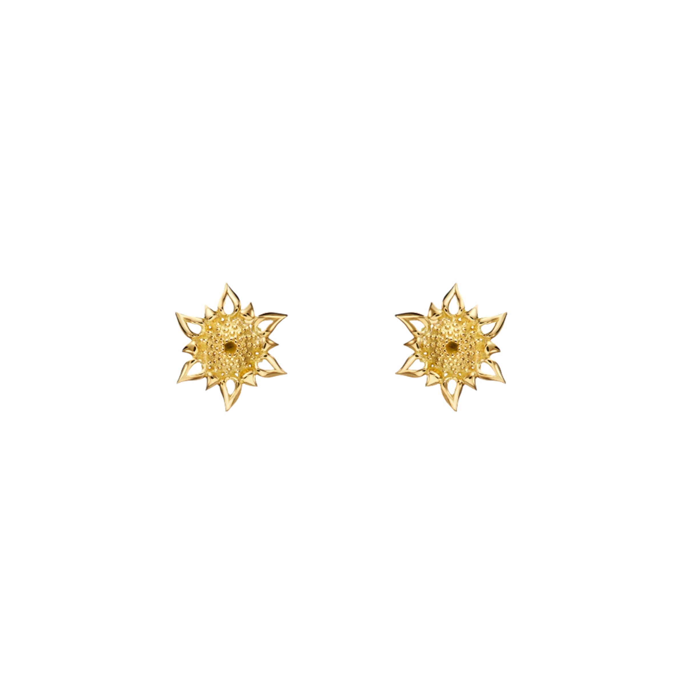 Apollo Echinus Hybrid Studs