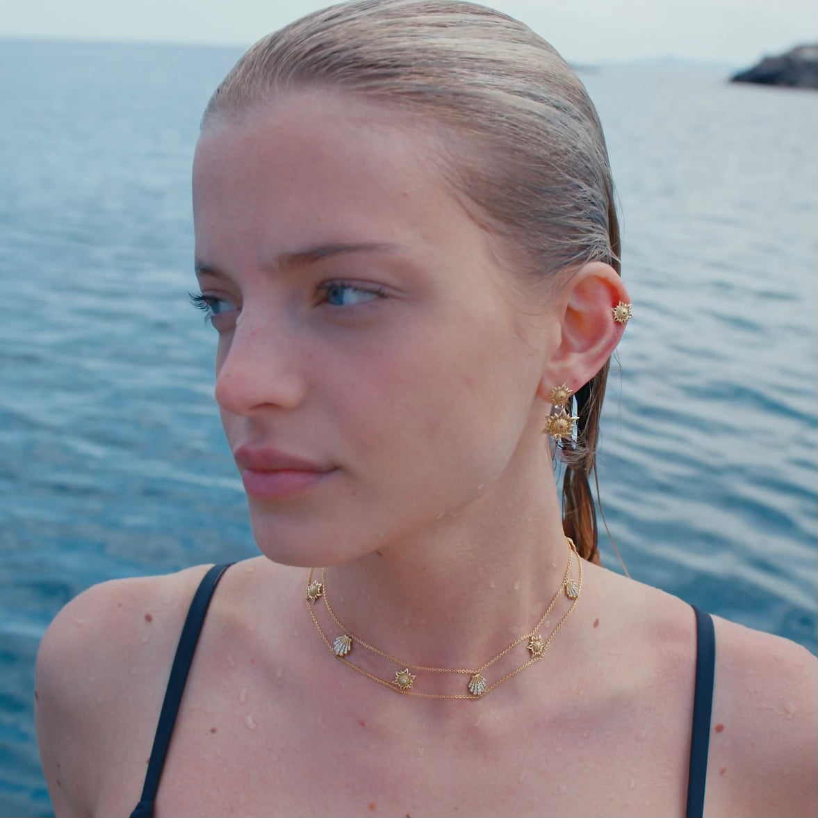 Apollo Echinus Hybrid & Shell Necklace
