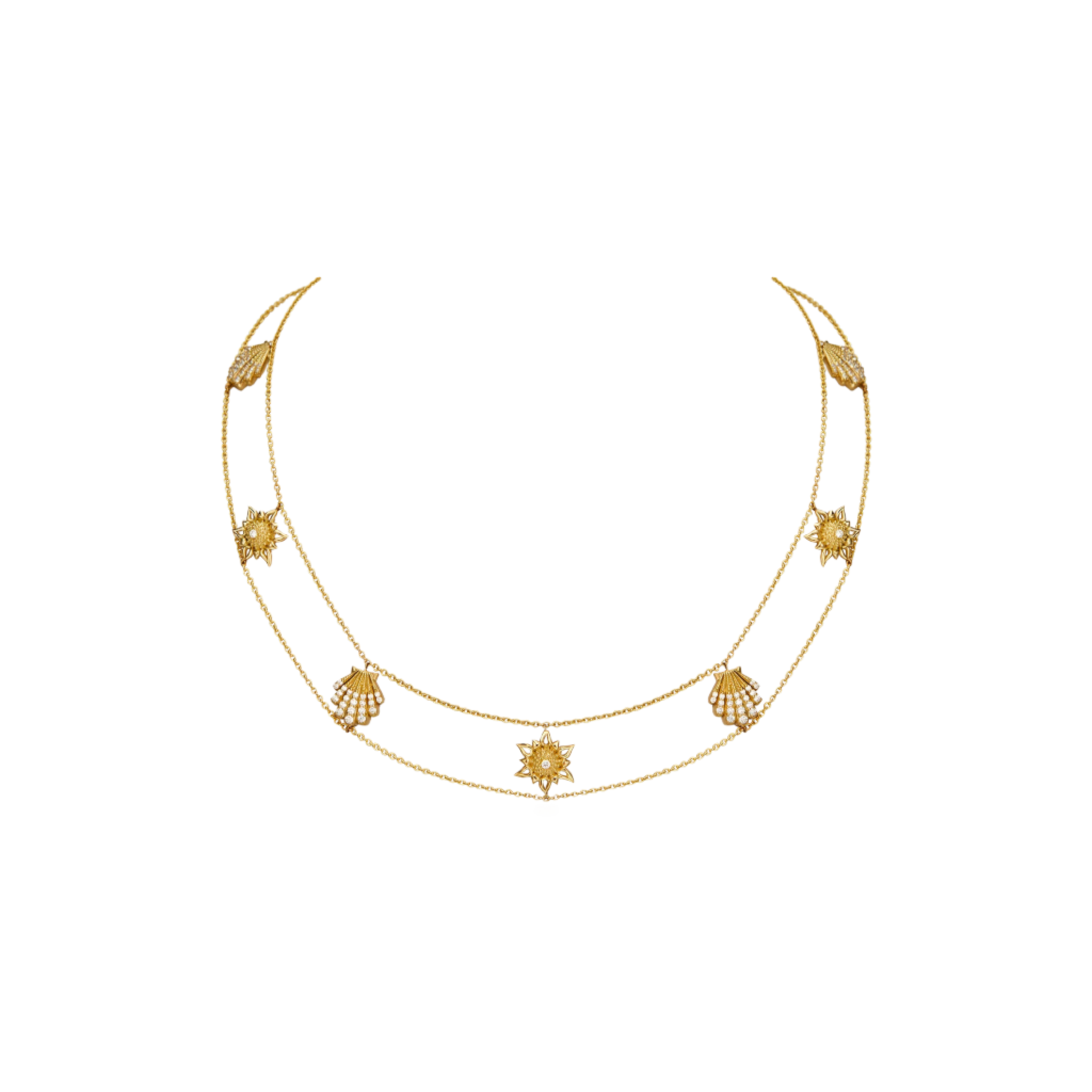 Apollo Echinus Hybrid & Shell Necklace