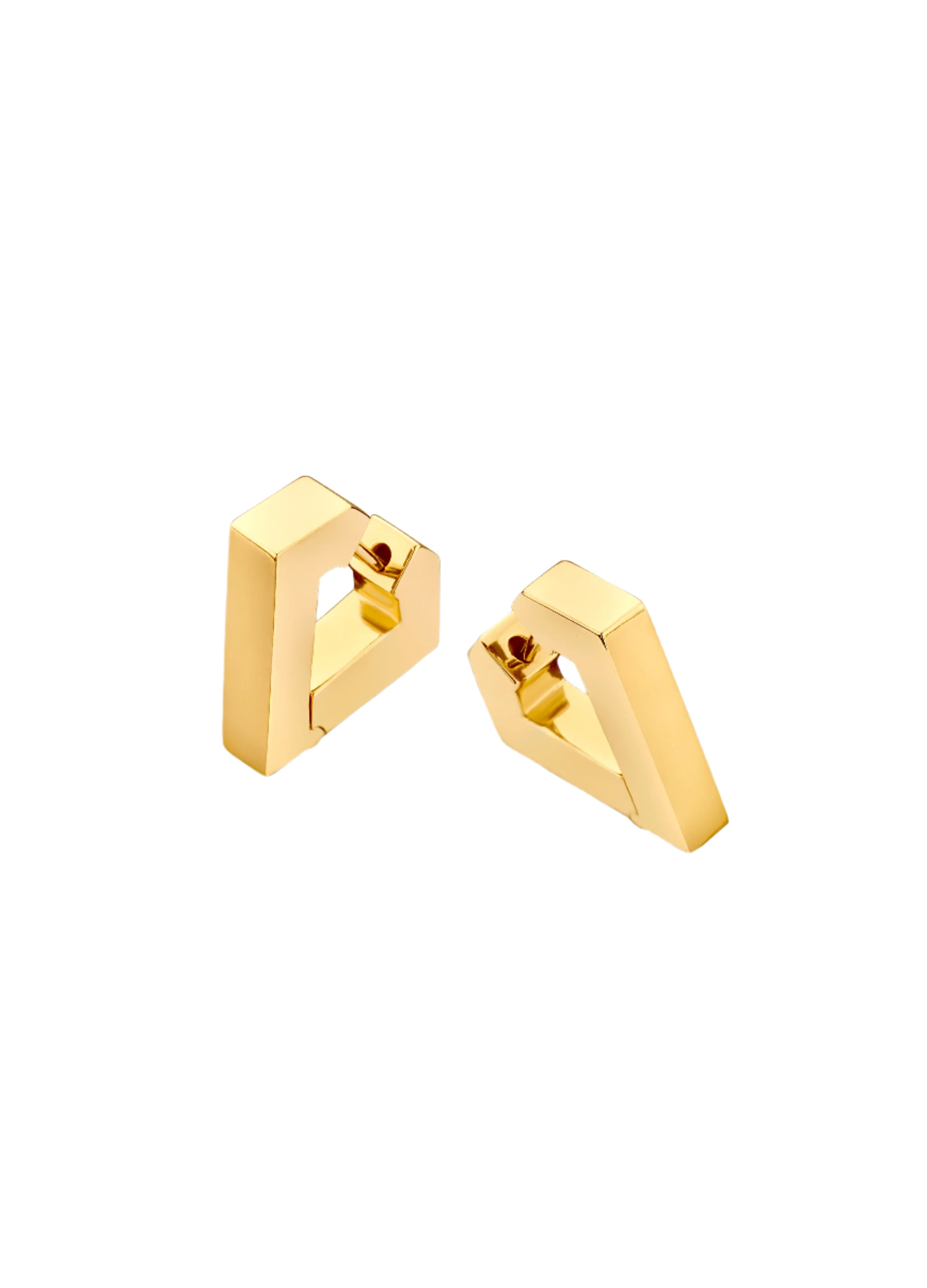 Brute Earrings