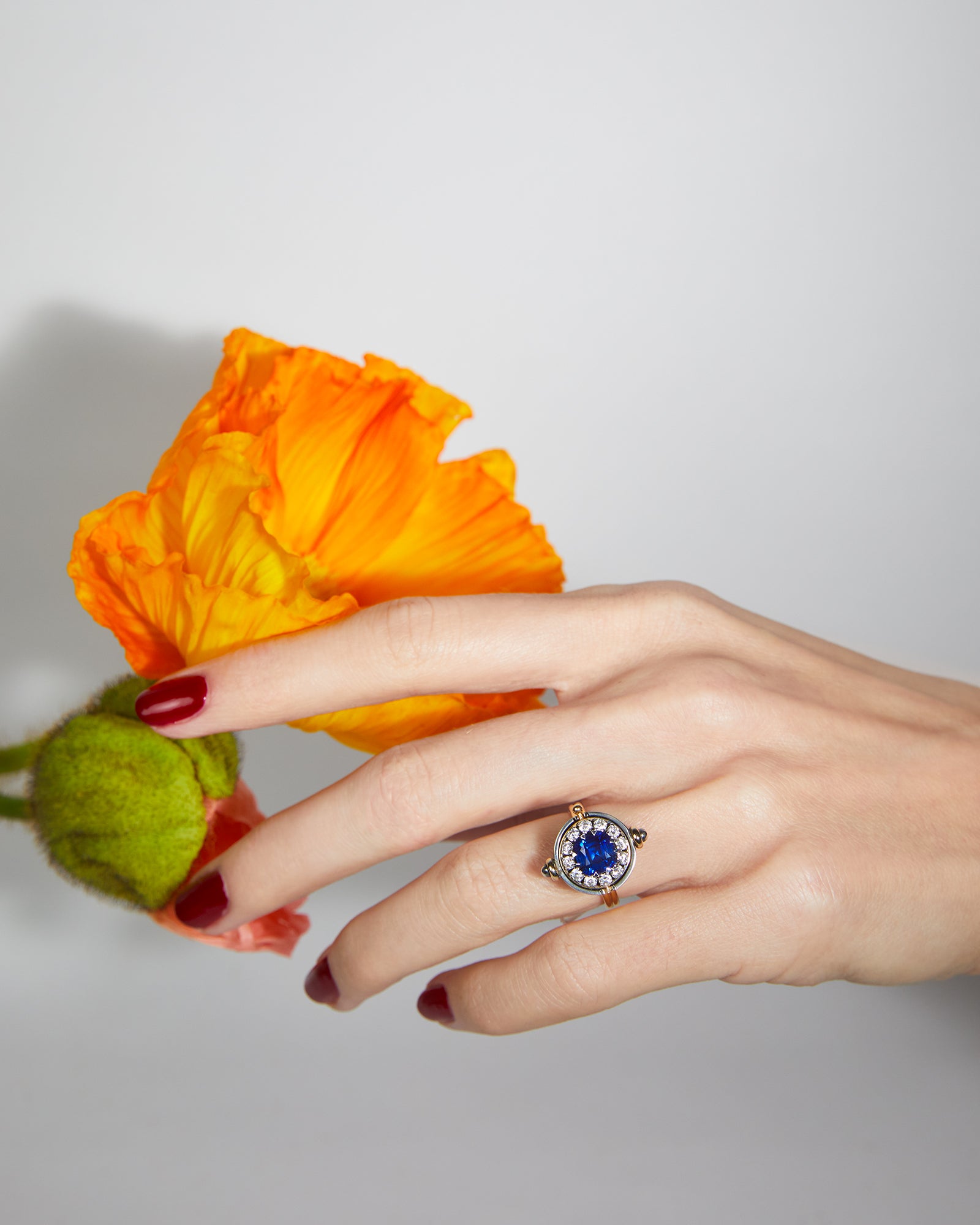 Bague Sirius Sphère Medium Saphir Portée Hugues Laurent (6)