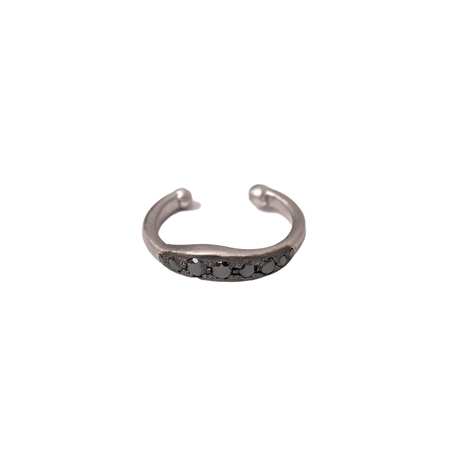 EAR-168602.jpg