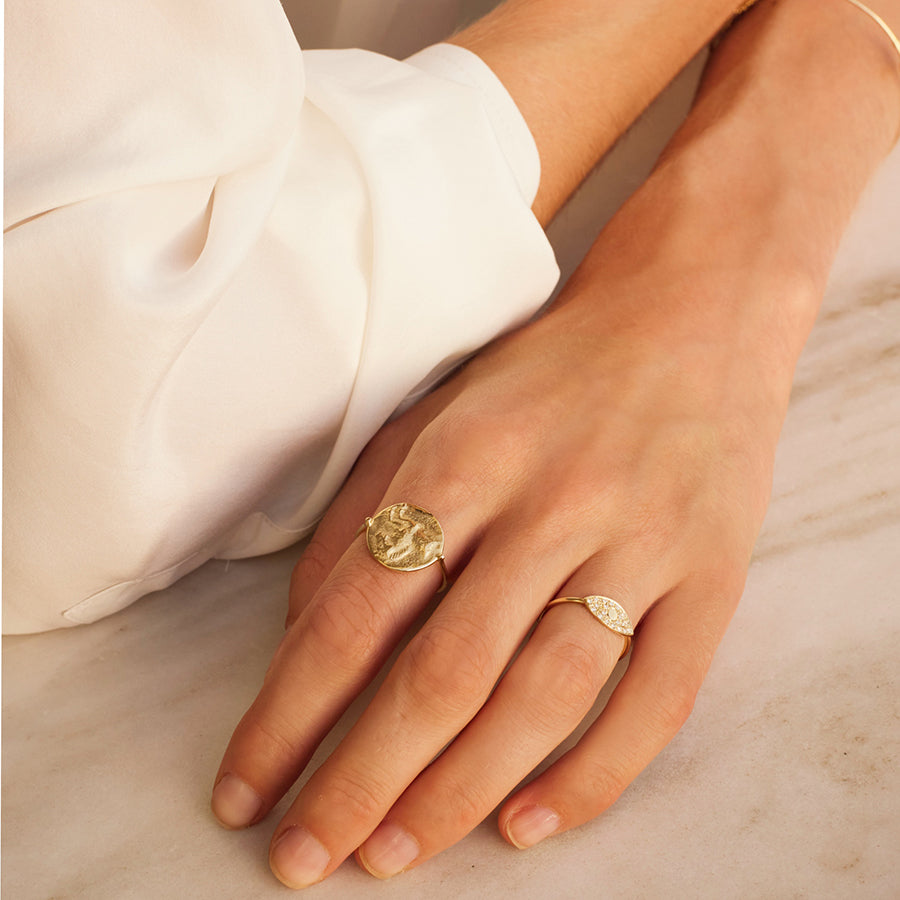 EDR331A-icon-horse-ring--copie
