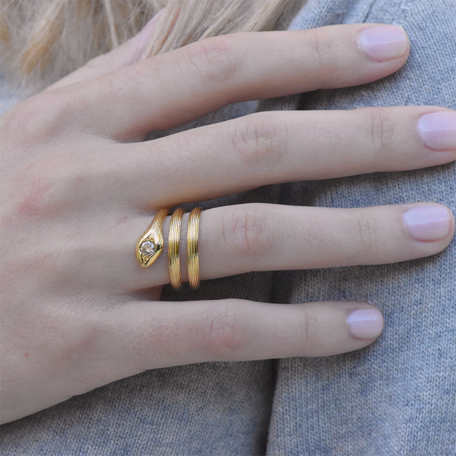 Snake Double Coil Ring